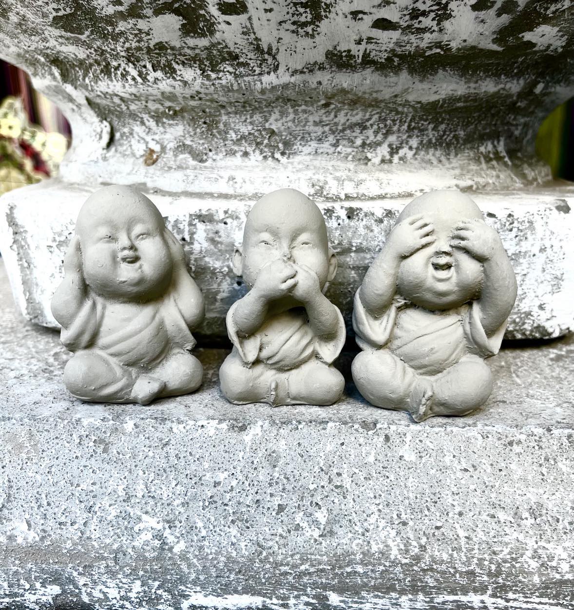 Baby Buddha Set