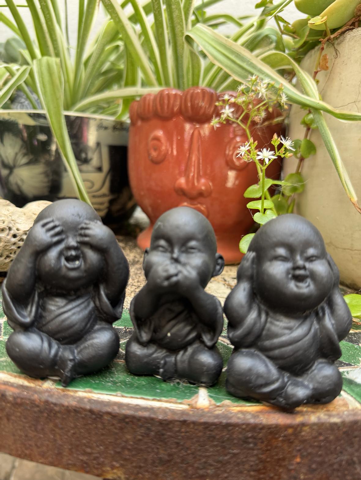 Baby Buddha Set