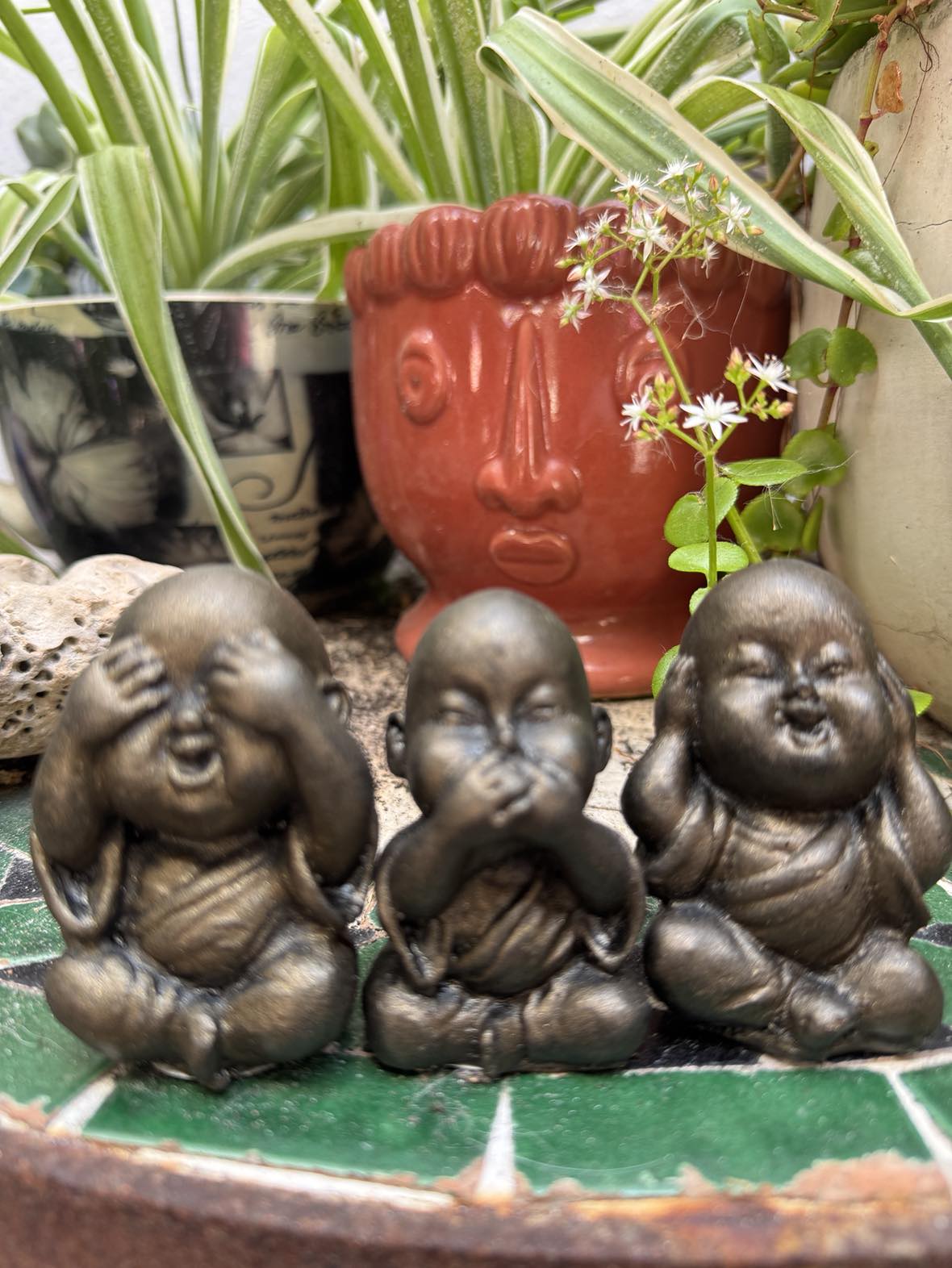 Baby Buddha Set