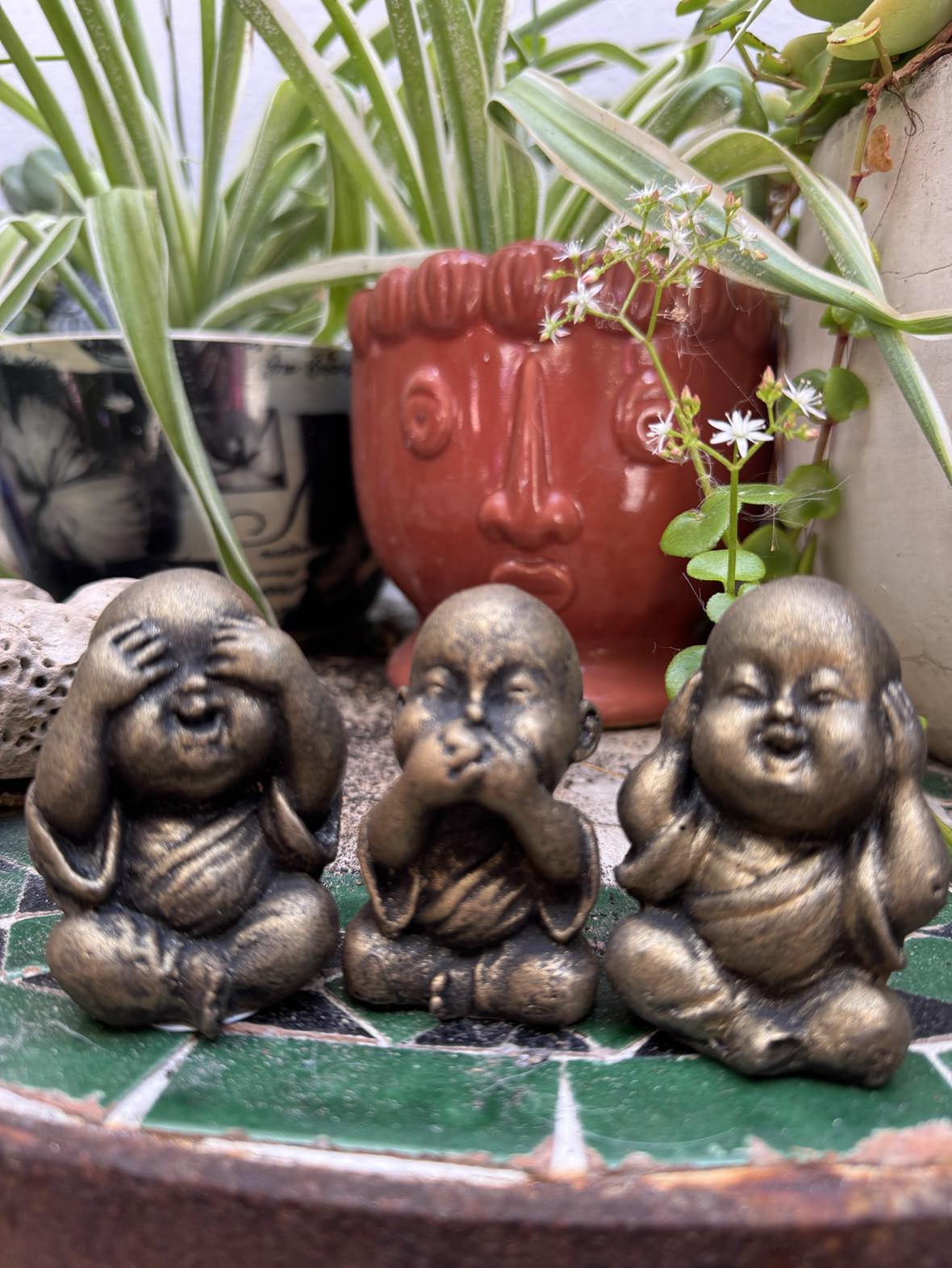 Baby Buddha Set