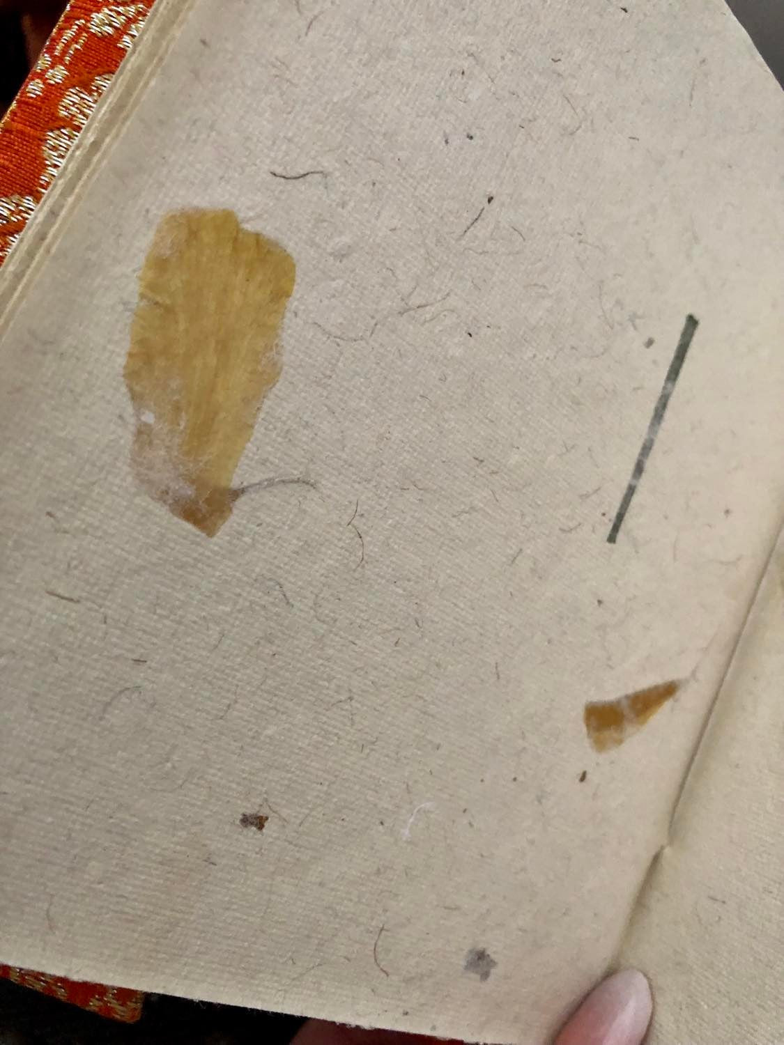 Saree Journal