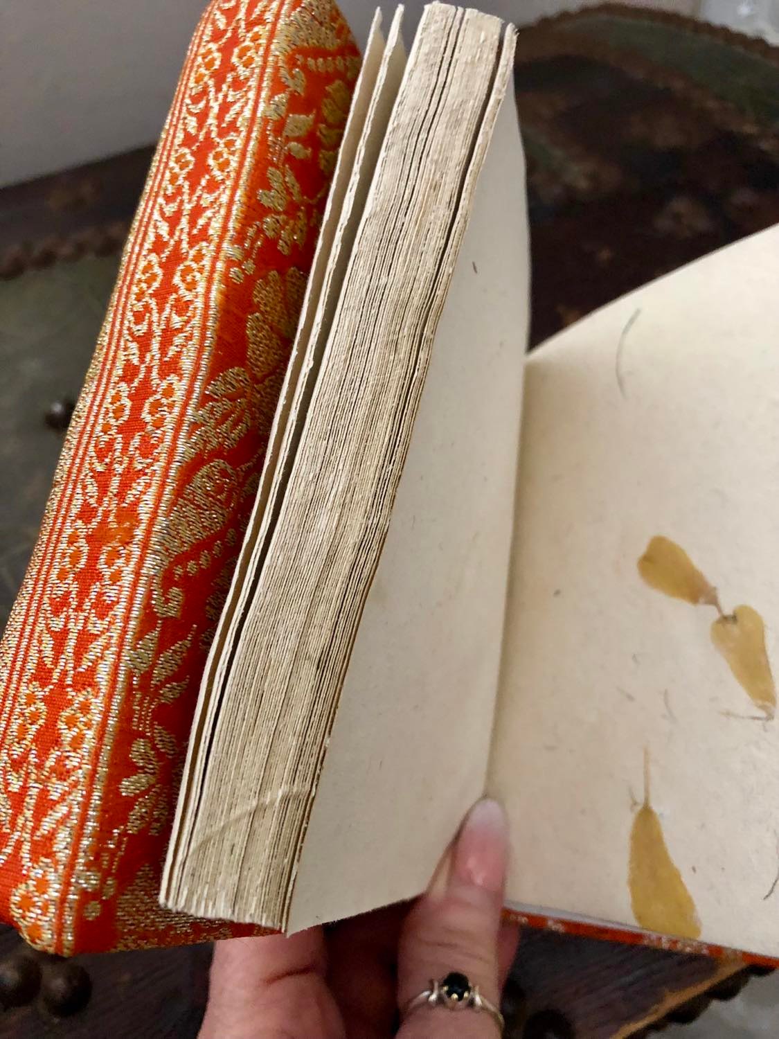 Saree Journal