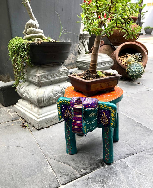Rajasthani Meditational Elephant Stool