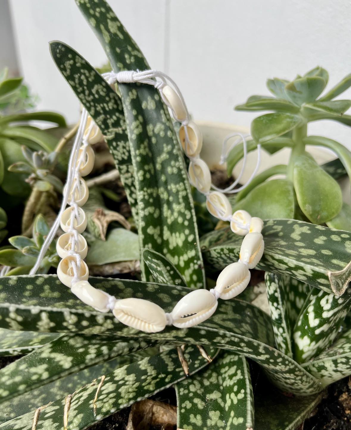 Cowrie Choker