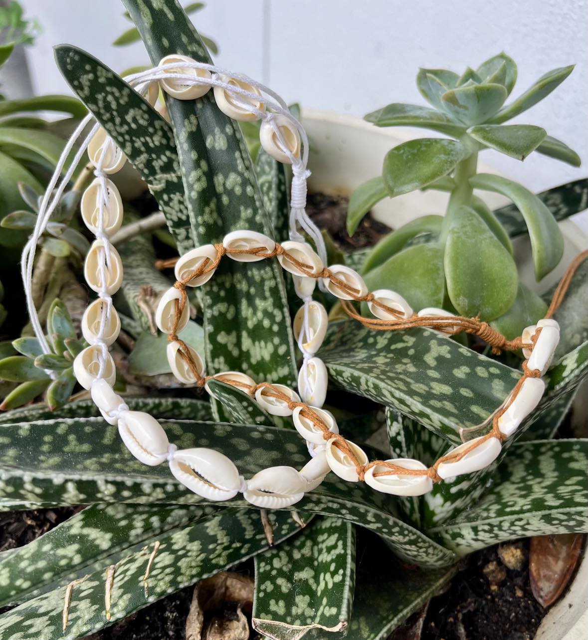 Cowrie Choker