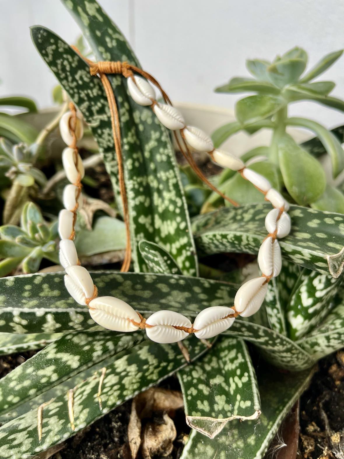 Cowrie Choker