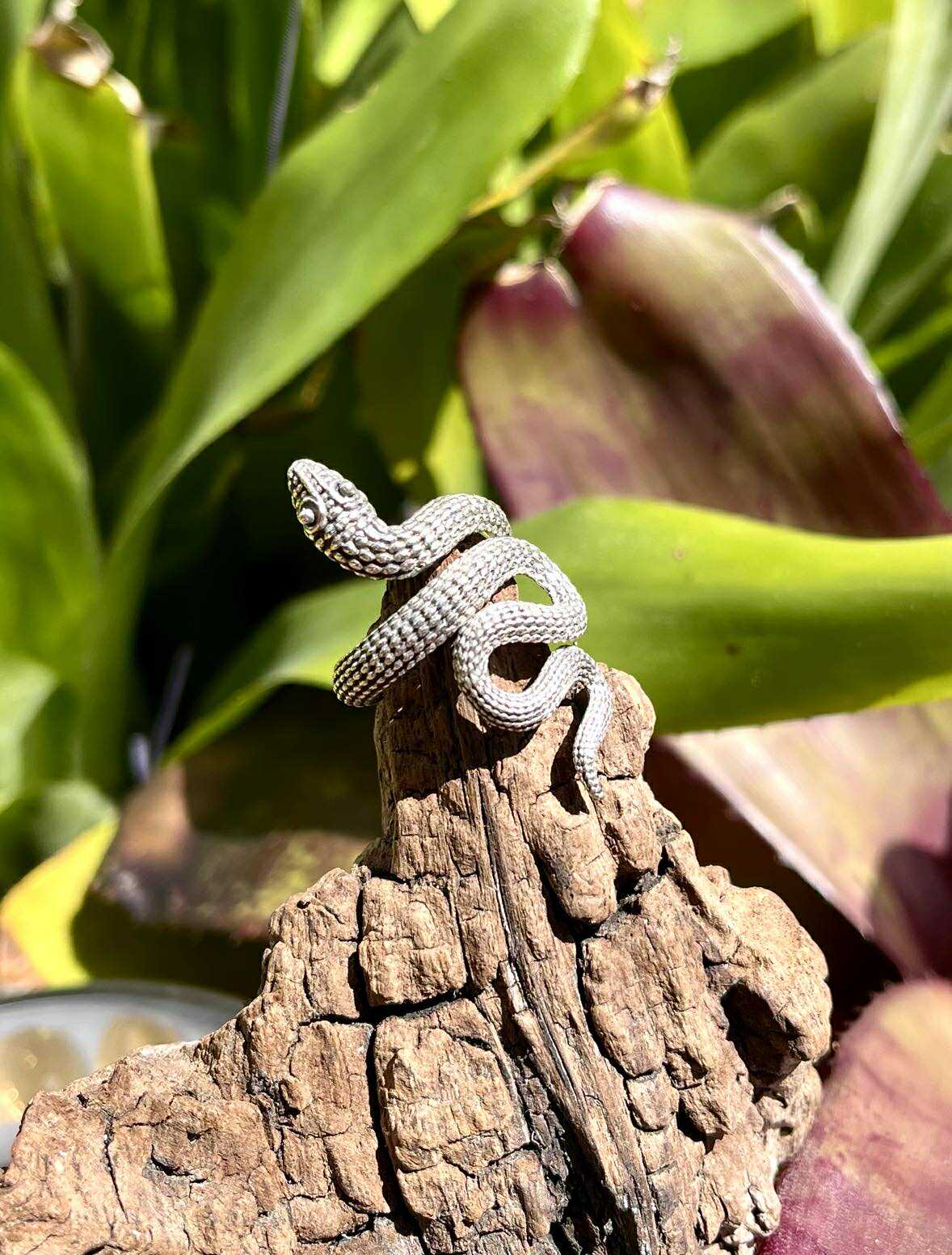 Serpent Guardian Ring
