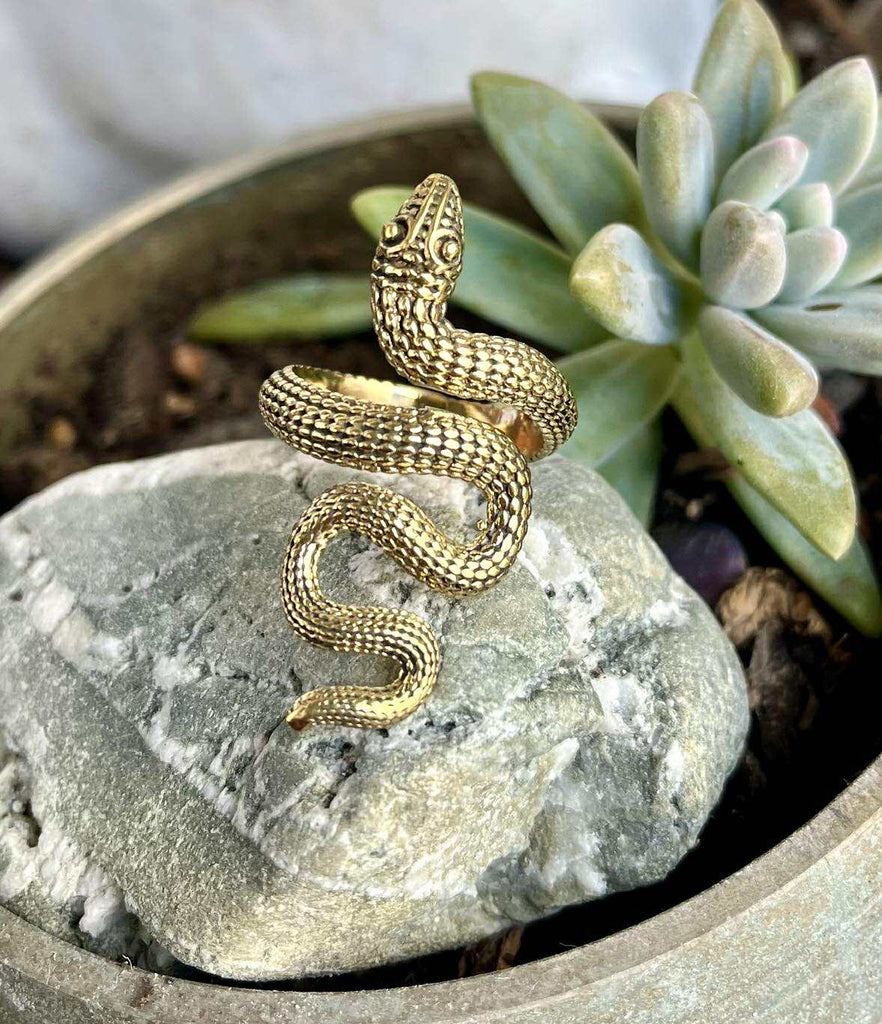 Serpent Guardian Ring