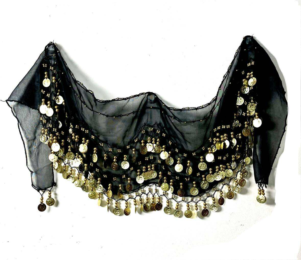 Coin Belt