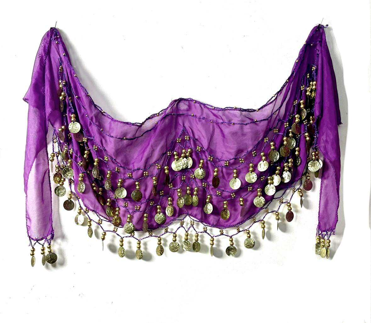 Coin Belt