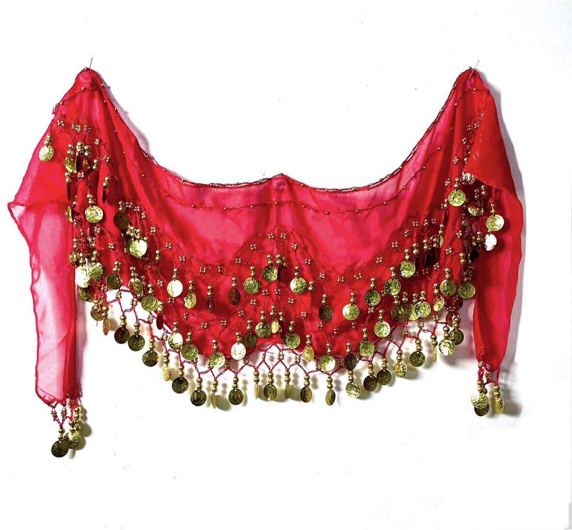 Coin Belt