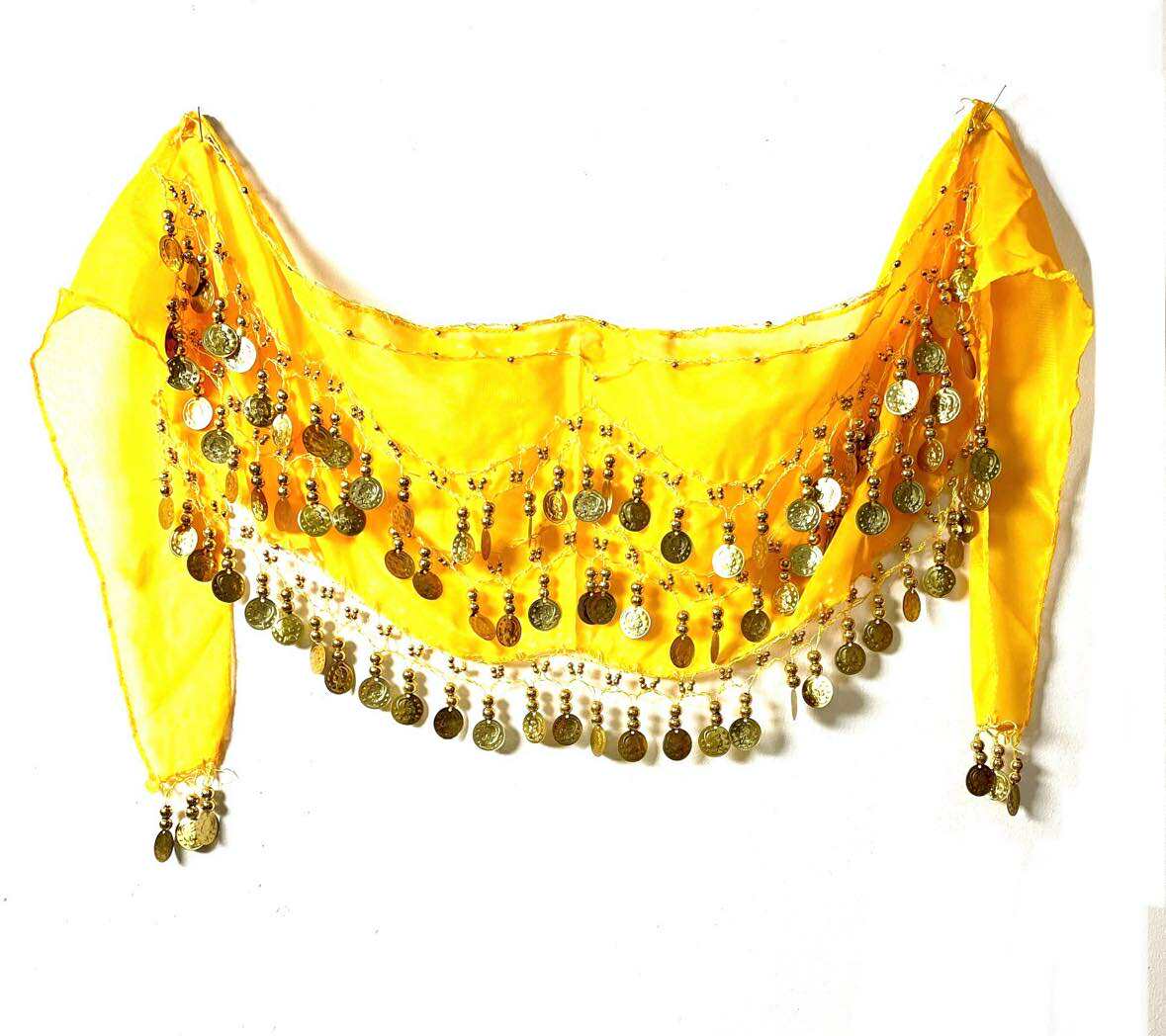 Coin Belt