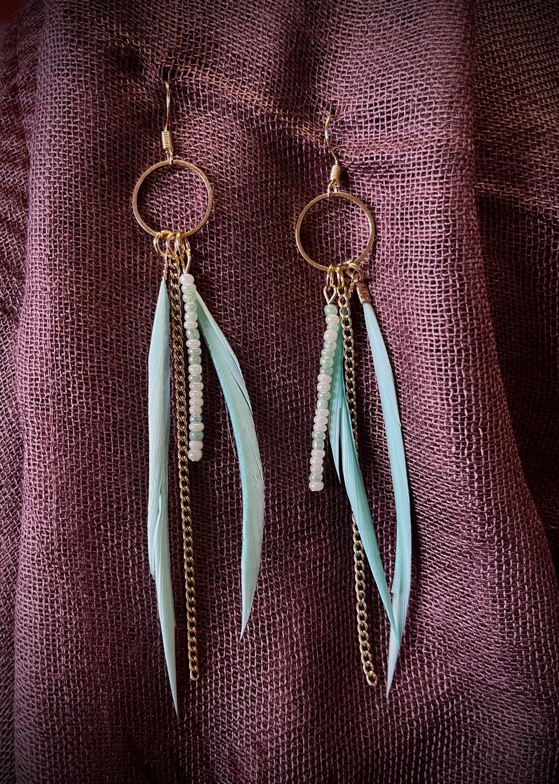 Feather Tail Hoop Earings