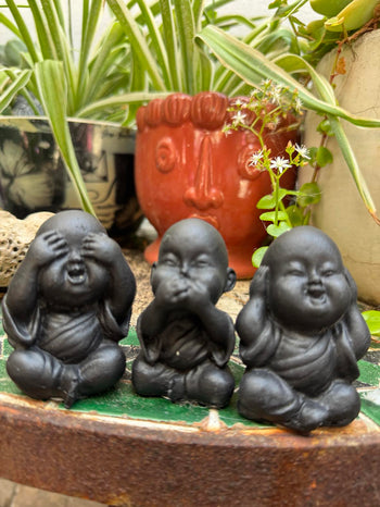 Baby Buddha Set