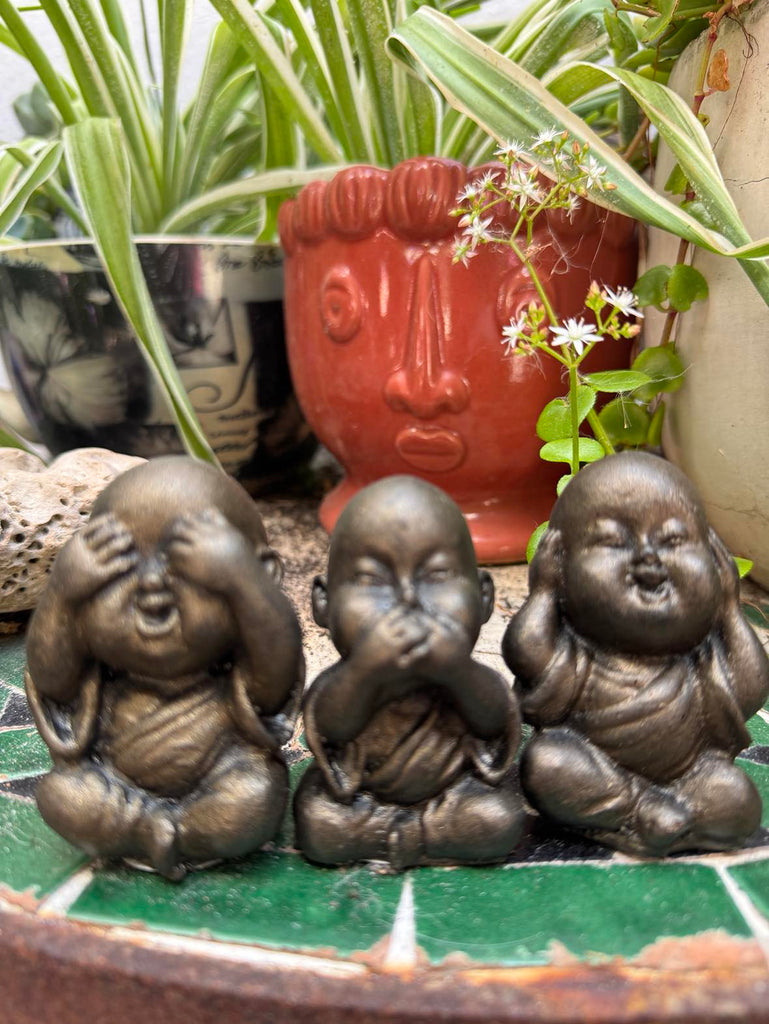 Baby Buddha Set