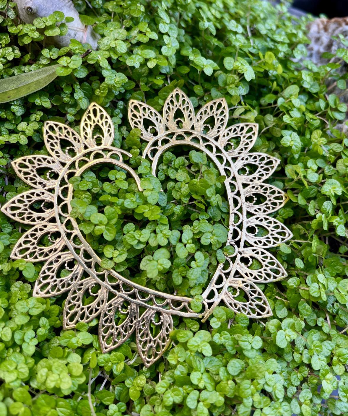 Brass 9 Leaf Pixie Cuffs