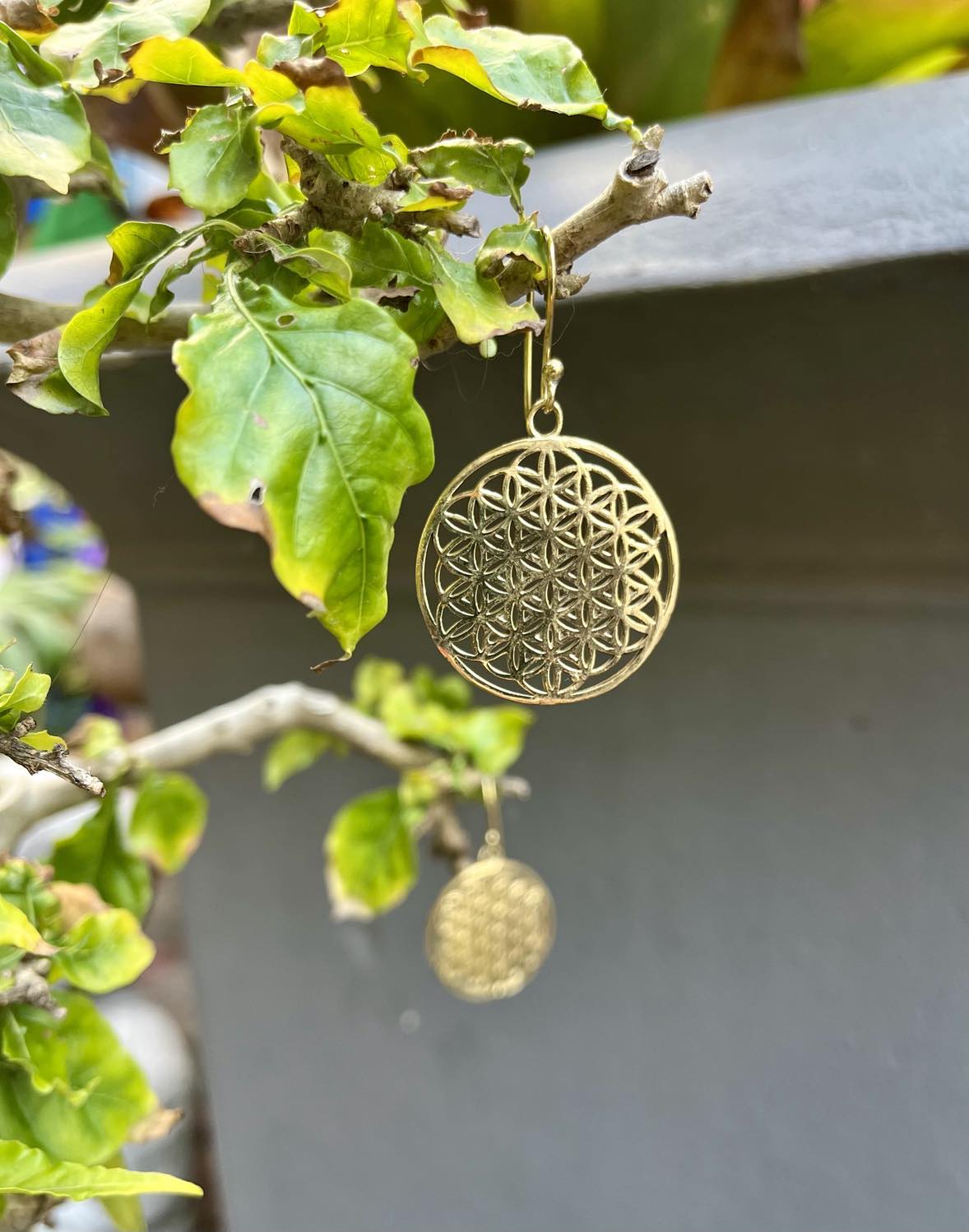 Brass Seed Of Life Earings