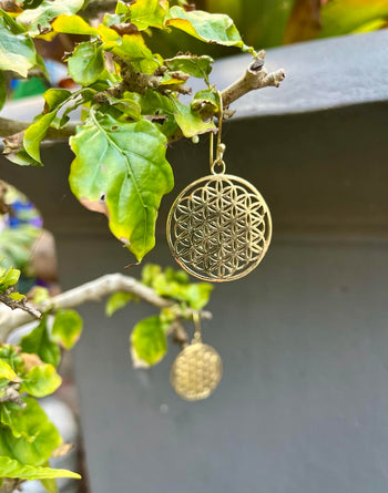 Brass Seed Of Life Earings