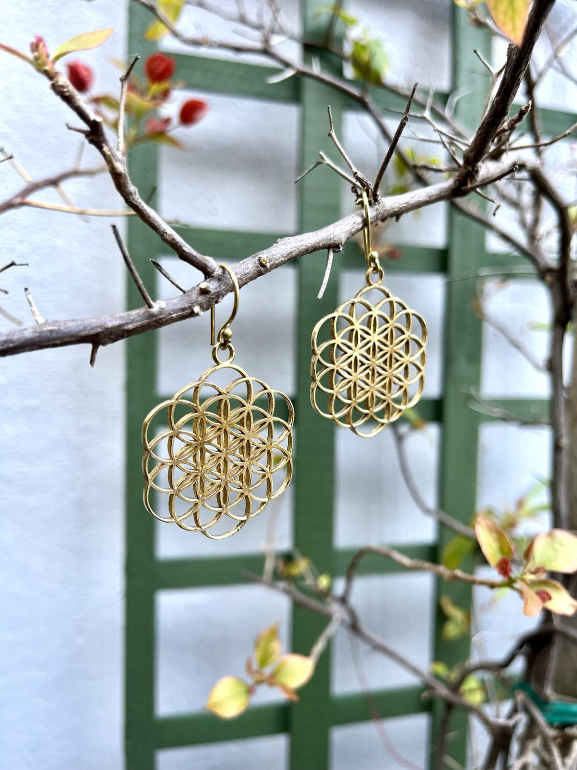 Brass Flower Of Life Earings