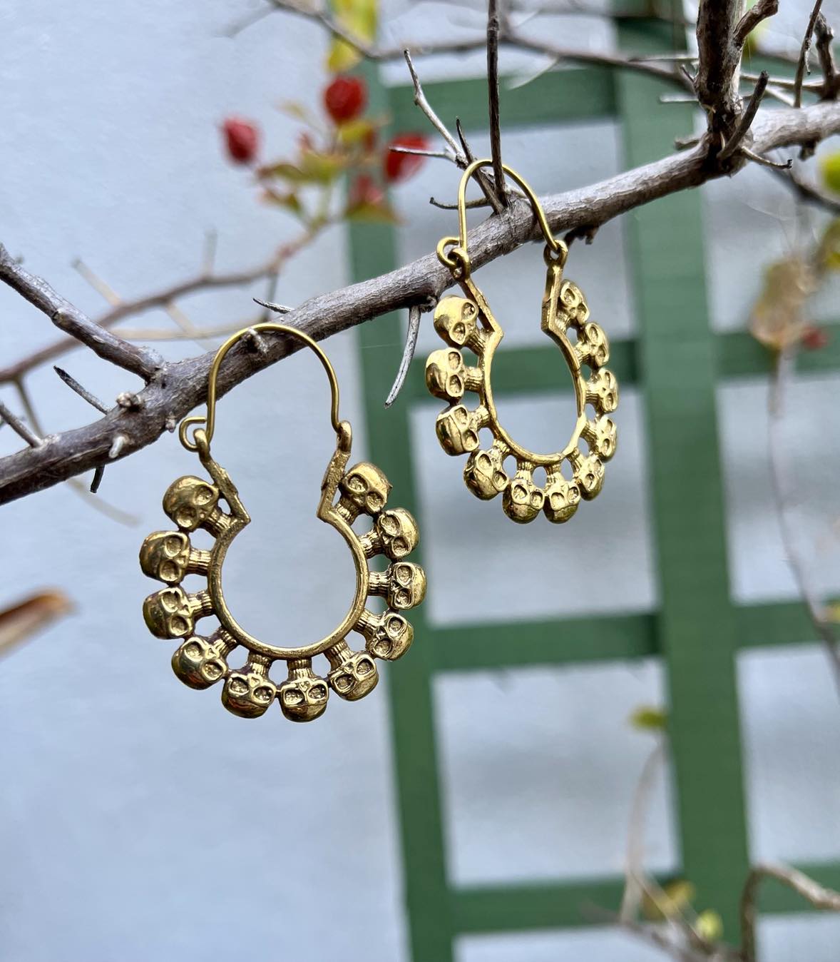 Brass Circle Skull Earings