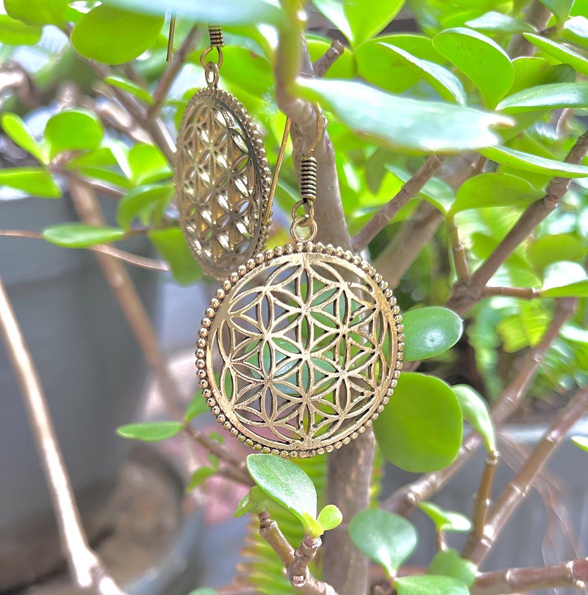 Brass Flower Of Life Earings Large