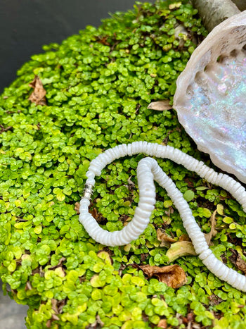 Puka Shell Choker