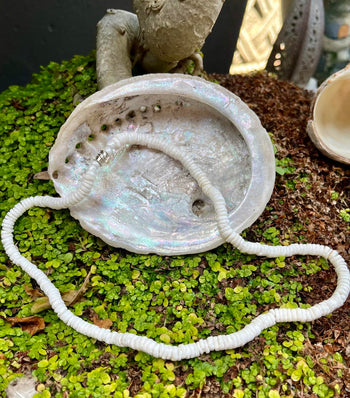 Puka Shell Choker