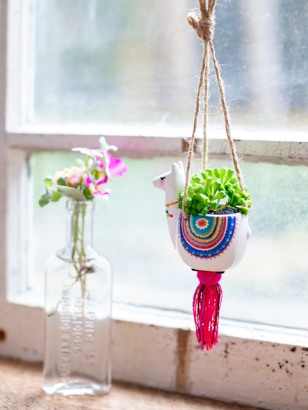 bless this car hanging succulent Car Hanging Succulent – Habiba Boho Boutique