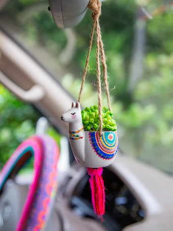 Car Hanging Succulent